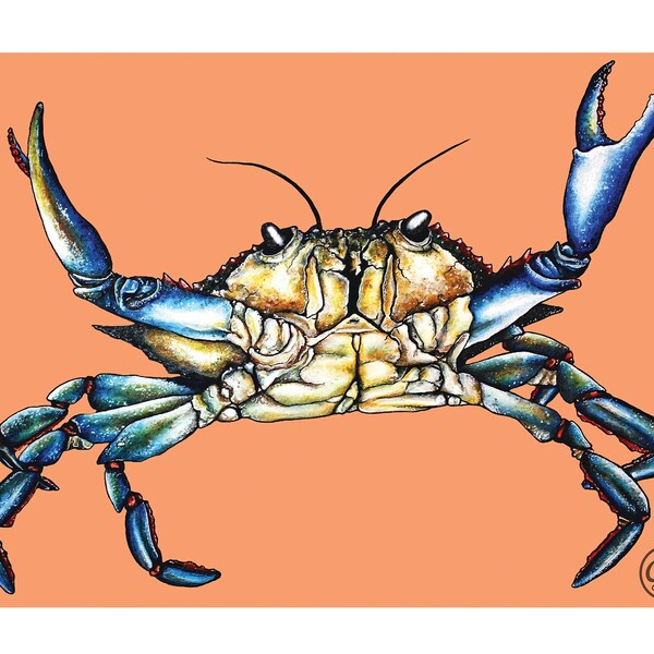 The Blue Crab - Giclée Print of Original Art - Beach Decor, Nautical Marine Wall Art, Cute Animal Gift, Wildlife Prints, Fisherman Present