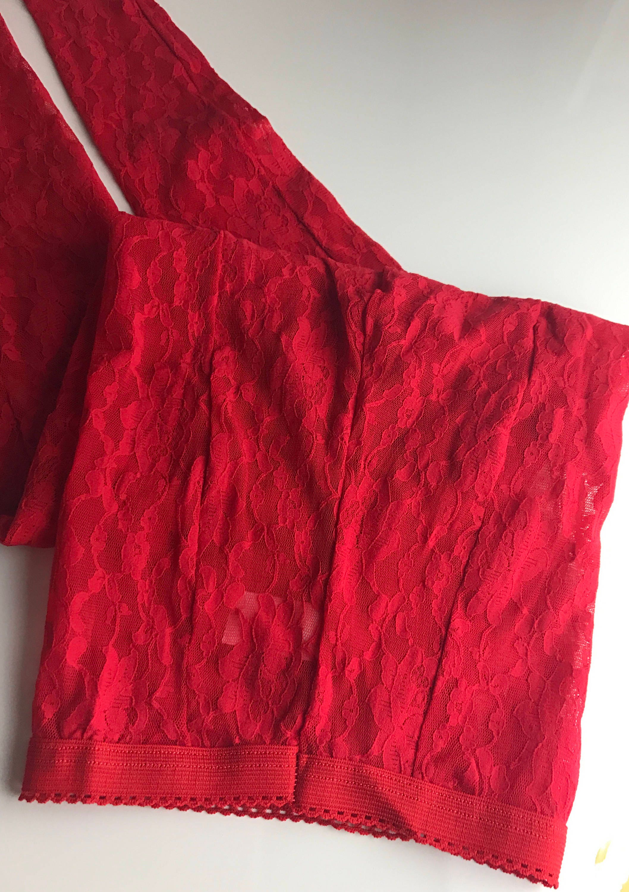 1980s Loves Delight by Randi 100% Nylon Red Floral Lace Seamed Pull on ...