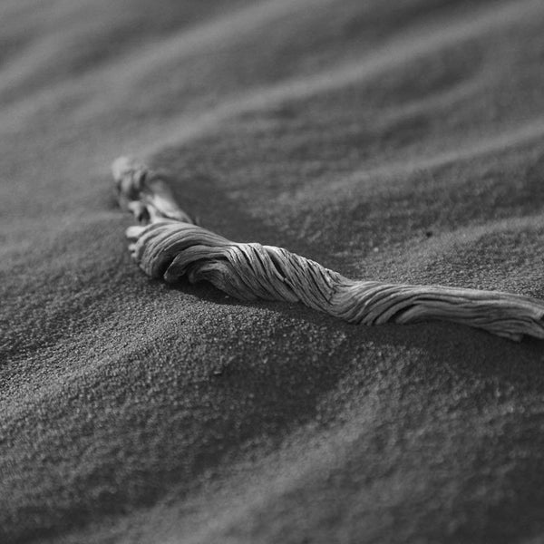 Desert Driftwood - Wadi Rum Protected Area, Jordan (photo print, wall art, closeup, golden hour, ripples, warm colors, horizontal)