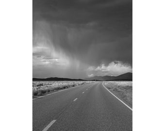 Stormy Lake Valley Roadscape - Nevada (Fotodruck, Wandkunst, Regen, Sturm, Regenschauer, Regenwolke, Sturmwolke, ländliche Landstraße, Straße, vertikal)