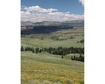 以下が含まれることがあります： 遠くの山々を背景に、草に覆われた谷の全景。谷には黄色の野花が咲き乱れ、緑の木々が点在している。空は白く雲が広がった青い空である。