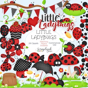 PICCOLE COCCINELLE Clipart, 28 file png Clipart, Download immediato, coccinella, scarabeo, palloncino rosso, primavera, cupcake rosso, insetti, insetti, margherita
