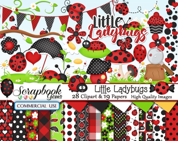 Ladybug clipart. Free download transparent .PNG