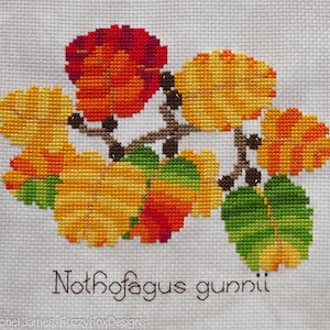 Nothofagus gunnii Modèle de point de croix PDF | Hêtre à feuilles caduques de Tasmanie en automne