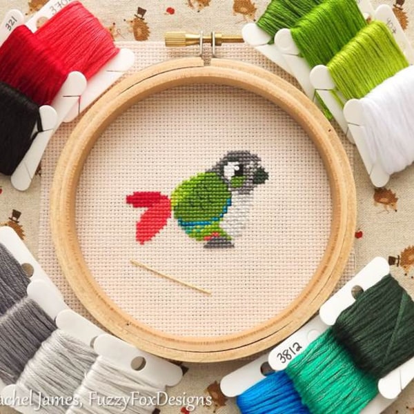 Green Cheek Conure Cross Stitch Pattern PDF | Cute Bird Counted Cross Stitch Chart | Instant Download