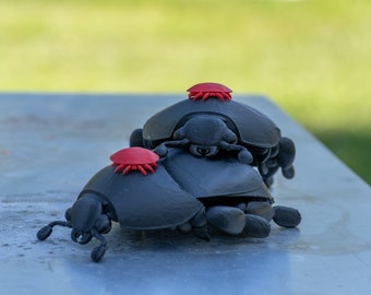 3D printed Small Hive Beetle