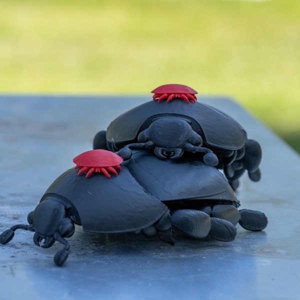 3D printed Small Hive Beetle