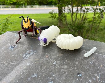 Life Cycle of a Honey Bee model