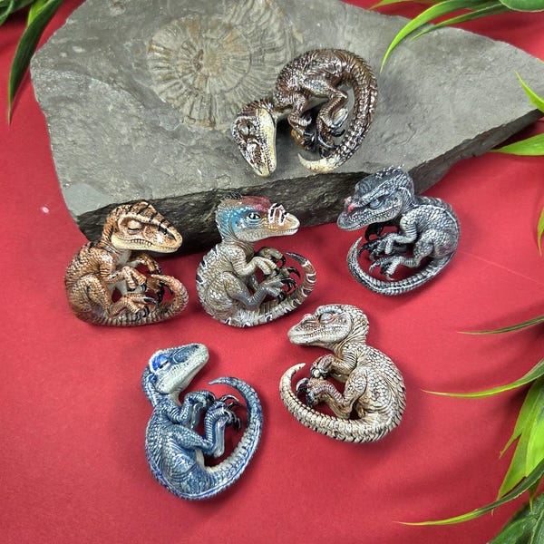 Idae Pattern Cute Raptor - Etsy UK