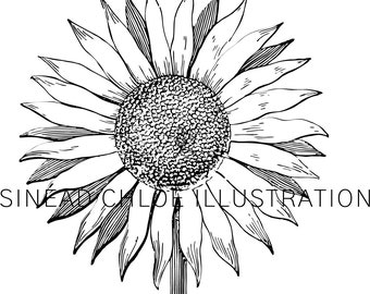 Sunflower SVG - instant download. Use anywhere.
