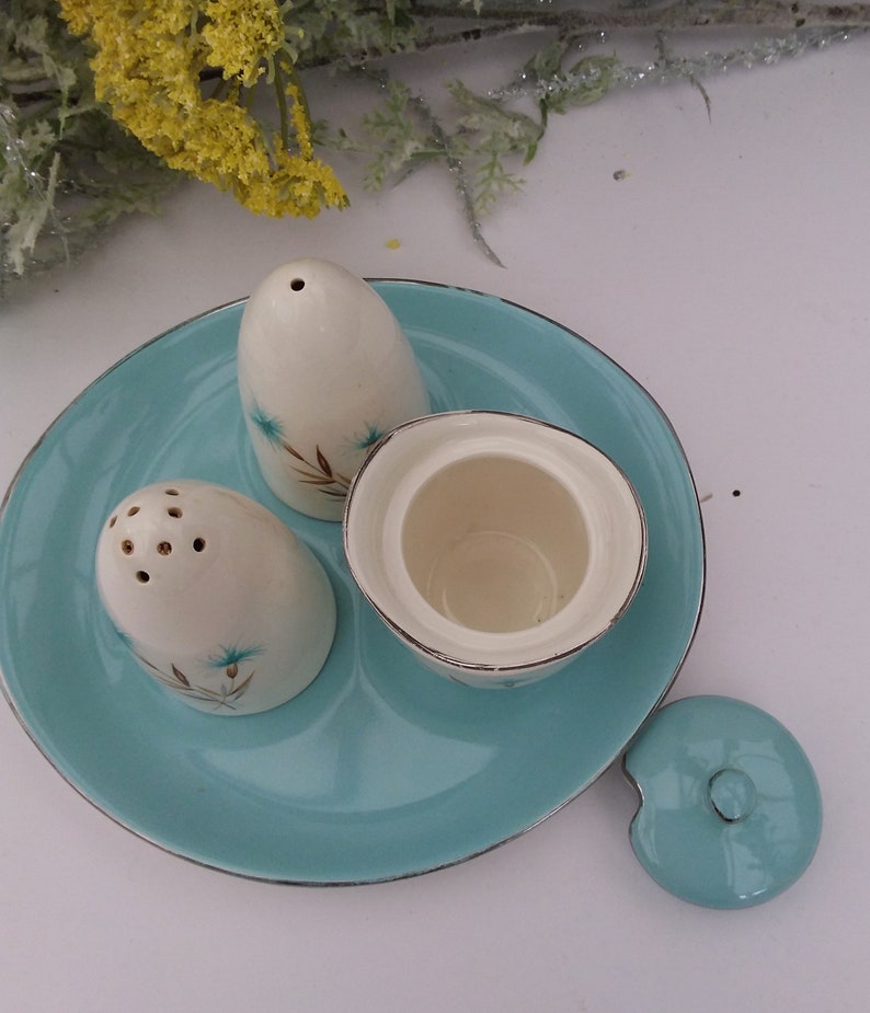 Salt Pepper and Mustard Pots With Tray Staffordshire China Etsy