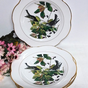 Spode Audubon Bird Plates - Etsy