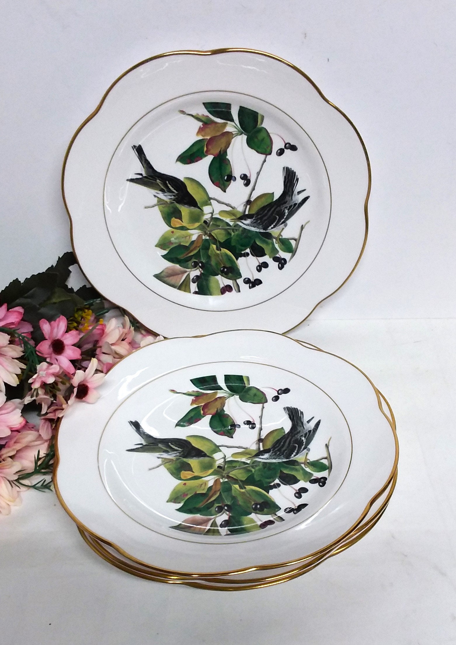 Spode Audubon Birds - Etsy