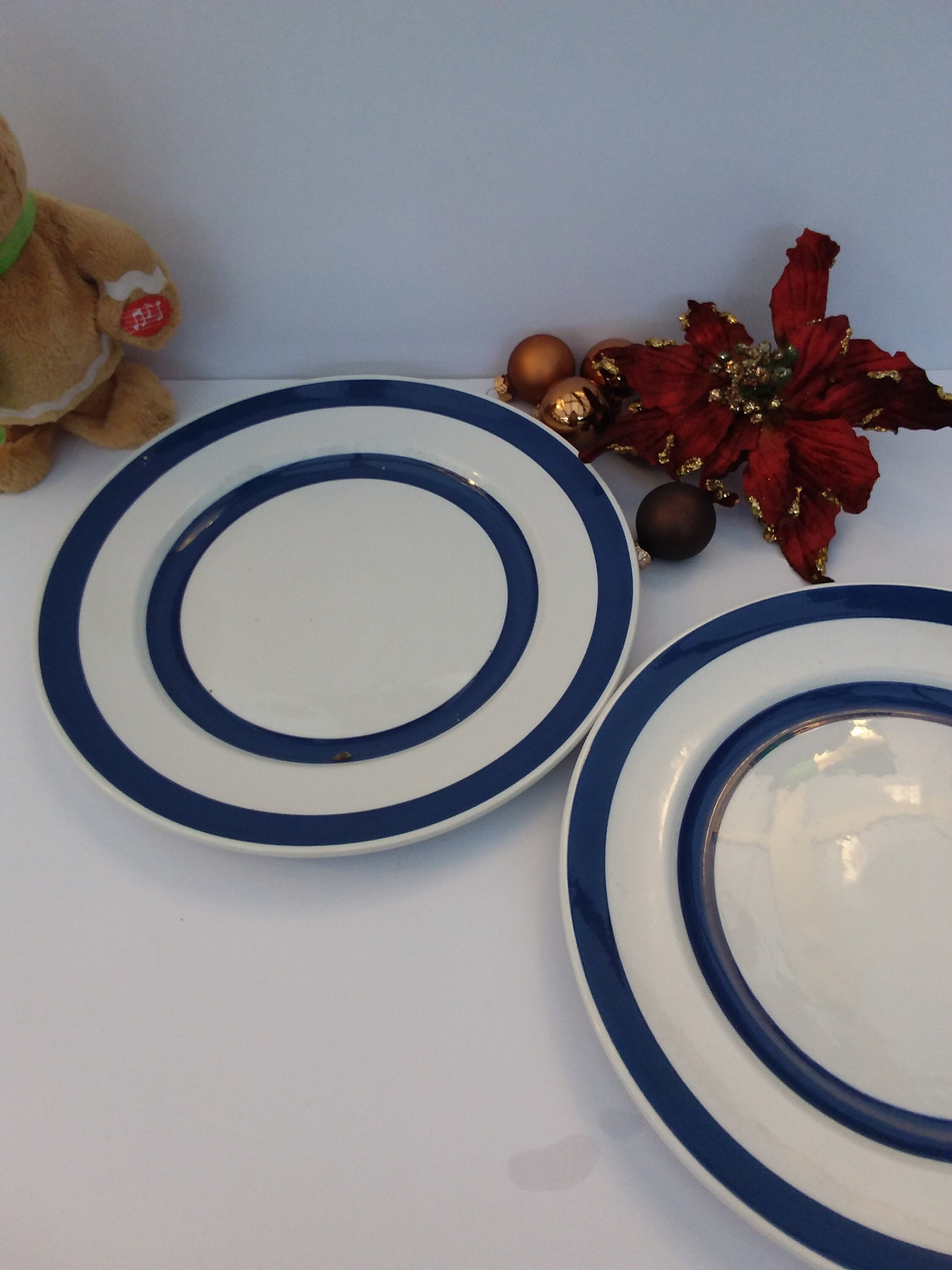 Cordon Bleu Blue and white dinner plates Staffordshire Chef Etsy