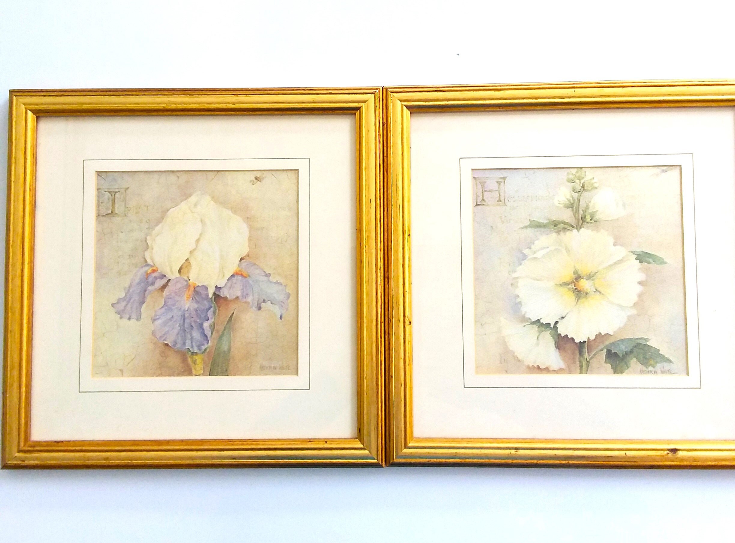 KATHARYN WHITEの絵画