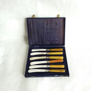 Butter spreaders, EPNS antique cutlery with composite handles,  EPNS cutlery. six boxed vintage flatware.