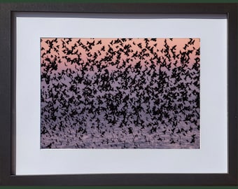 Brighton Starling Murmuration Wall Art - Photography - West Pier Local Sussex Artist Framed