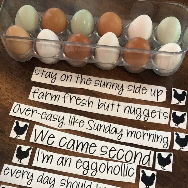 Funny Egg Carton Stickers (Lables/ Stickers ONLY) | Chicken | Duck | Turkey | Eggs | Farm | Ranch | Poultry | Coop | Homestead | Livestock