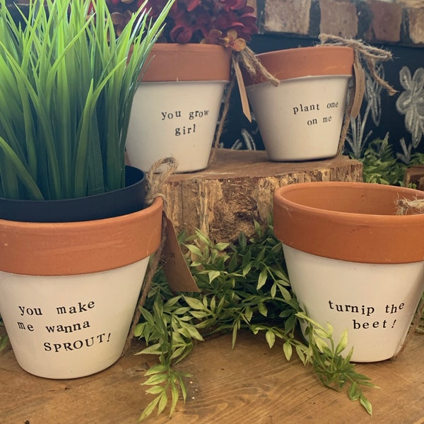 Plant Pot Puns 4" or 6" Pot | Flowers | Herbs | Vegetable | Plant | Cactus | Succulent | Aloe | Funny | Planter | Spring | Gardening
