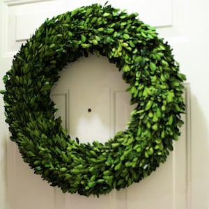 Boxwood Wreath , Preserved Wreath, front door Wreath ,Round Boxwood , Spring Wreath ,Summer Wreath,Farmhouse wreath ,door