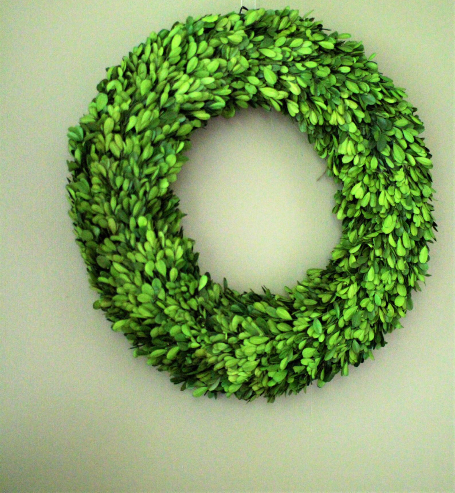 5. Festive Flourish: Mini Preserved Boxwood Wreath For All Occasions