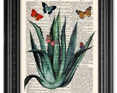 Aloe vera with butterflies, Dictionary art print, Vintage book print, Botanical print, Botanical art, Home Wall Decor, Gift poster ART 072