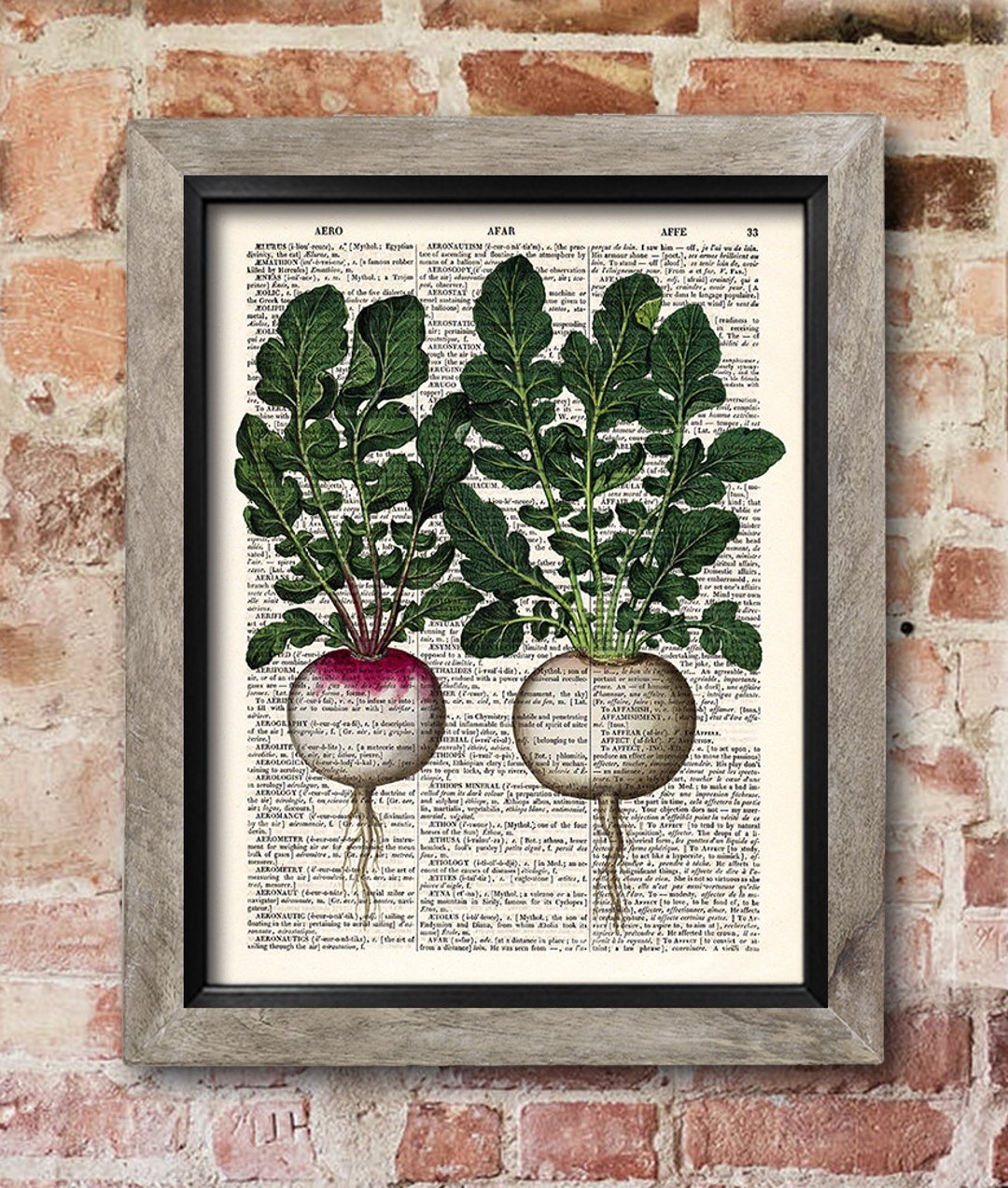 Radish Print, Dictionary Art Print, Kitchen Decor, Botanical Art Print