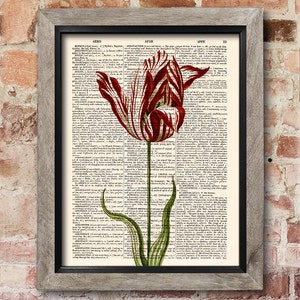 Tulpendruck, Blumendruck, Wörterbuch Kunstdruck, Alte Buchseiten, Küchen dekor, Esszimmer Dekor, Wand dekor, Neues Zuhause Geschenk [ART 135]
