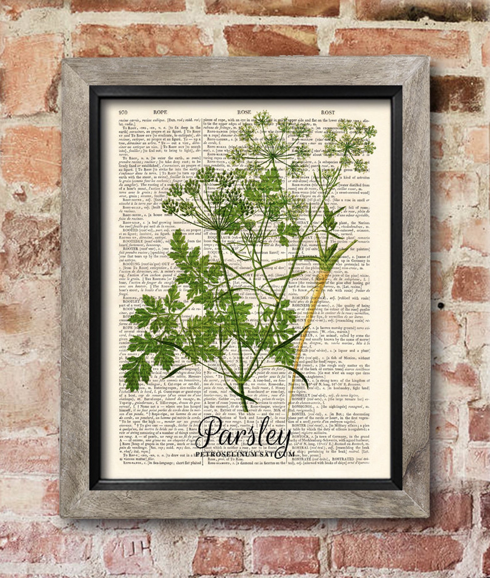 Kitchen Herb Print Parsley Print Dictionary Art Print Old Etsy