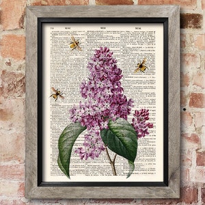 Könnte beinhalten: Eine Vintage-Wörterbuchseite mit einer botanischen Illustration einer lila Blüte mit drei Bienen. Der Text auf der Seite stammt aus der Wörterbuchdefinition des Wortes "Musik".