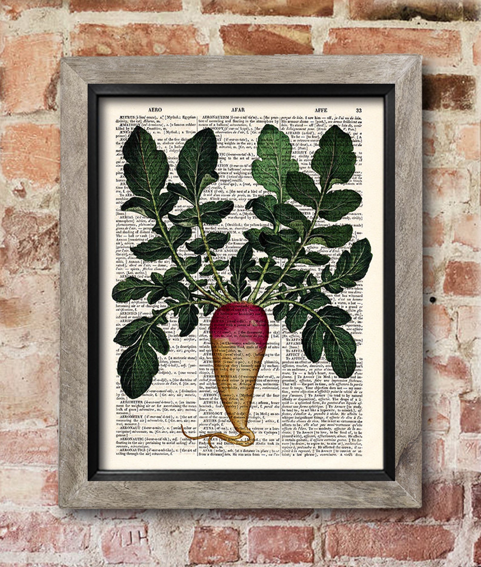 Radish Print Dictionary Art Print Kitchen Decor Botanical Etsy