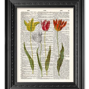 Tulpen Poster, alte Buchseite, Küchen Poster, Esszimmer Dekoration, Blumen Poster [ART 210]