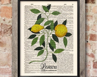Lemons botanical print, dictionary art print, home decor wall art, kitchen decor, home art, vintage art, book art print, wall art