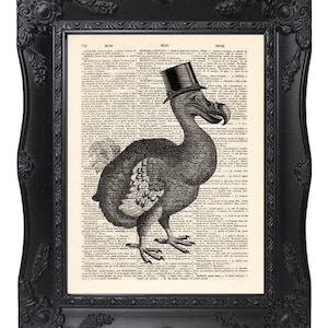Dodo Vogel Druck, Wörterbuch Kunstdruck, Originales Kunstwerk, Vogel Druck, Home Wand Kunst, Wand dekor, lustig, Geschenk Poster [ART-056]