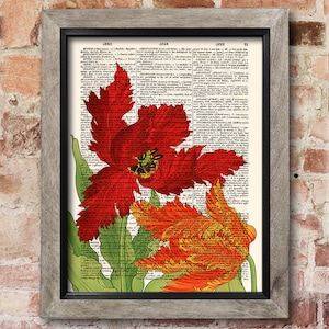 Rote und orange Tulpe, Wörterbuch Kunstdruck, Blumen Poster, Blumen Druck, upcycled Wörterbuch Seite, Home Wall Dekor, Geschenk Poster [ART 061]