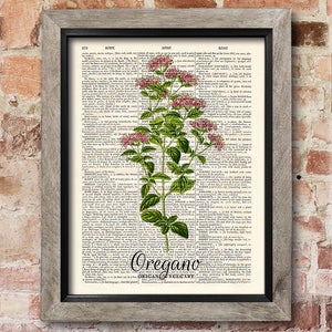 Kitchen Herb Print, Oregano Print, Dictionary art print, Old book pages, Kitchen decor, Dining room decor, Herbs Wall Decor, New home gift