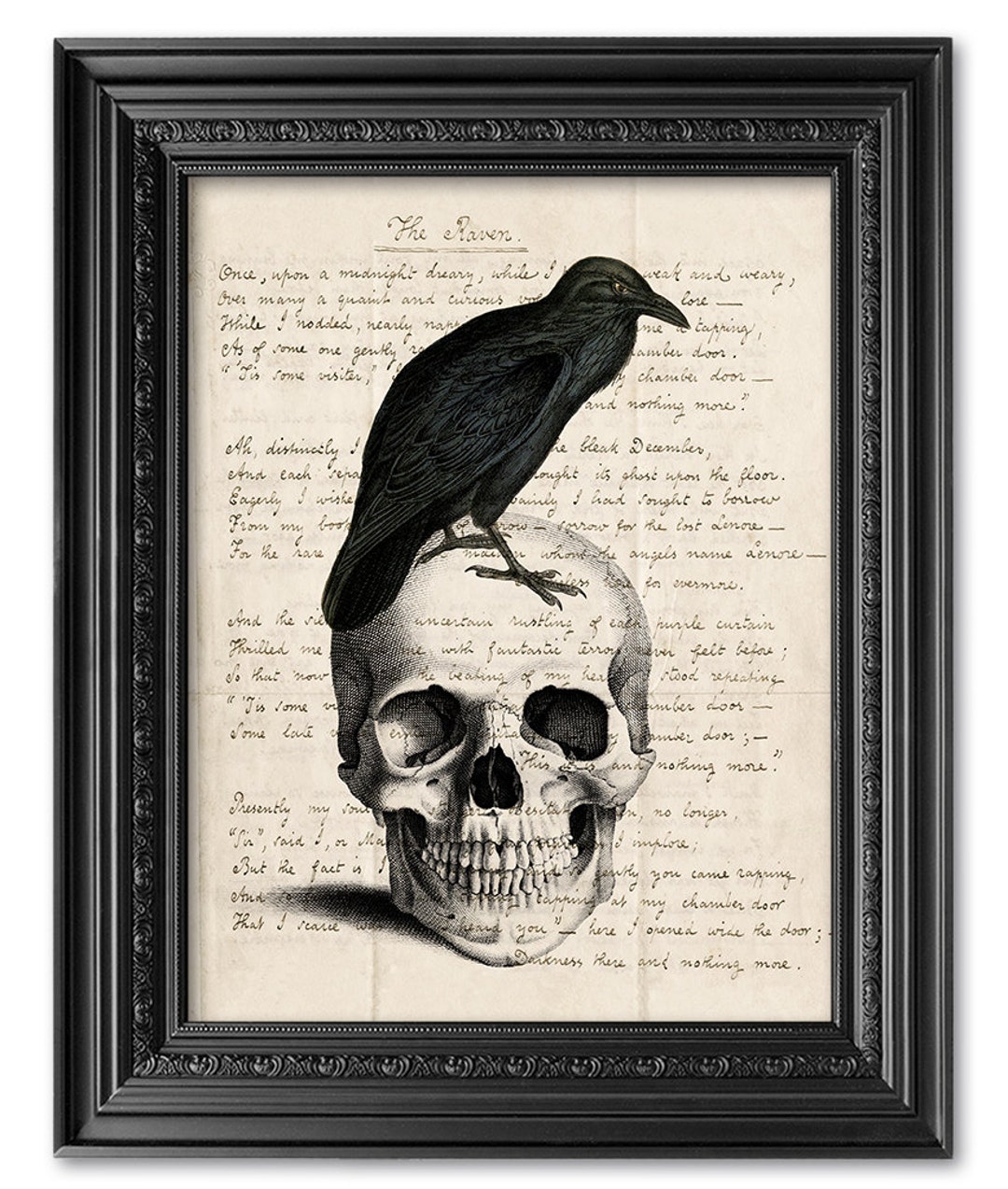 Edgar Allan Poe Inspired Gothic Throw Pillows Ravens Skulls 