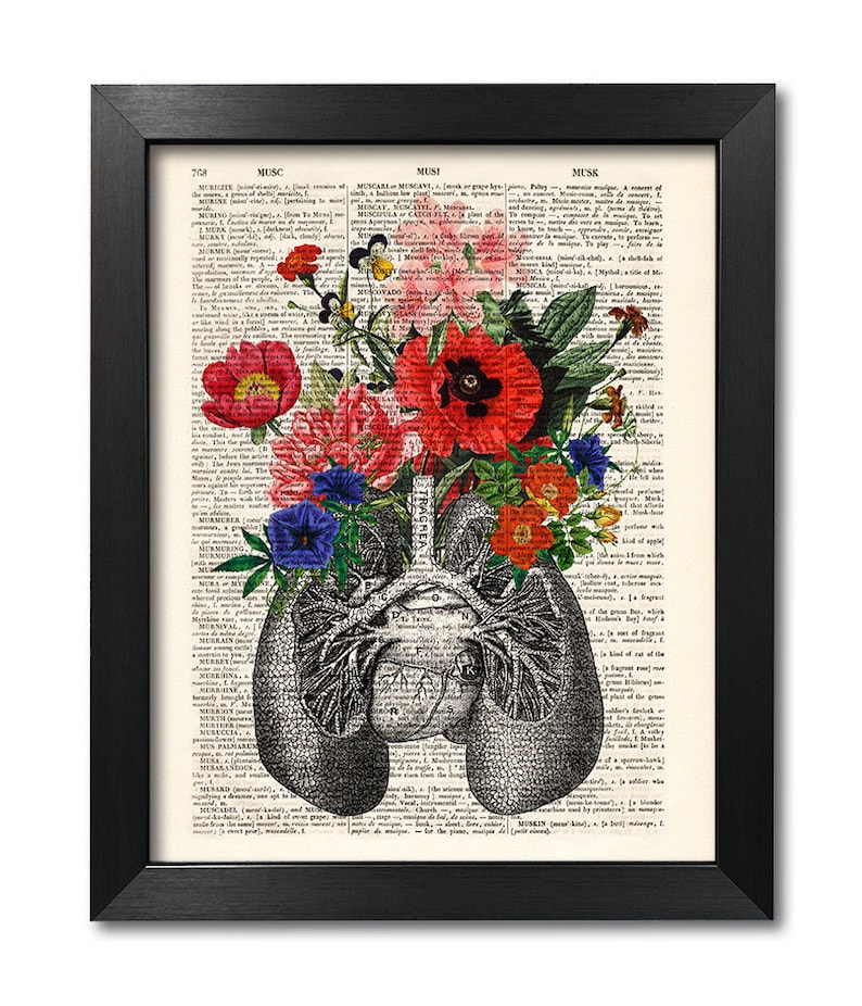 Anatomische Lunge mit Blumen, Kunstdruck anatomische Lunge, Druck auf alter Buchseite, individuelles Geschenk image 1