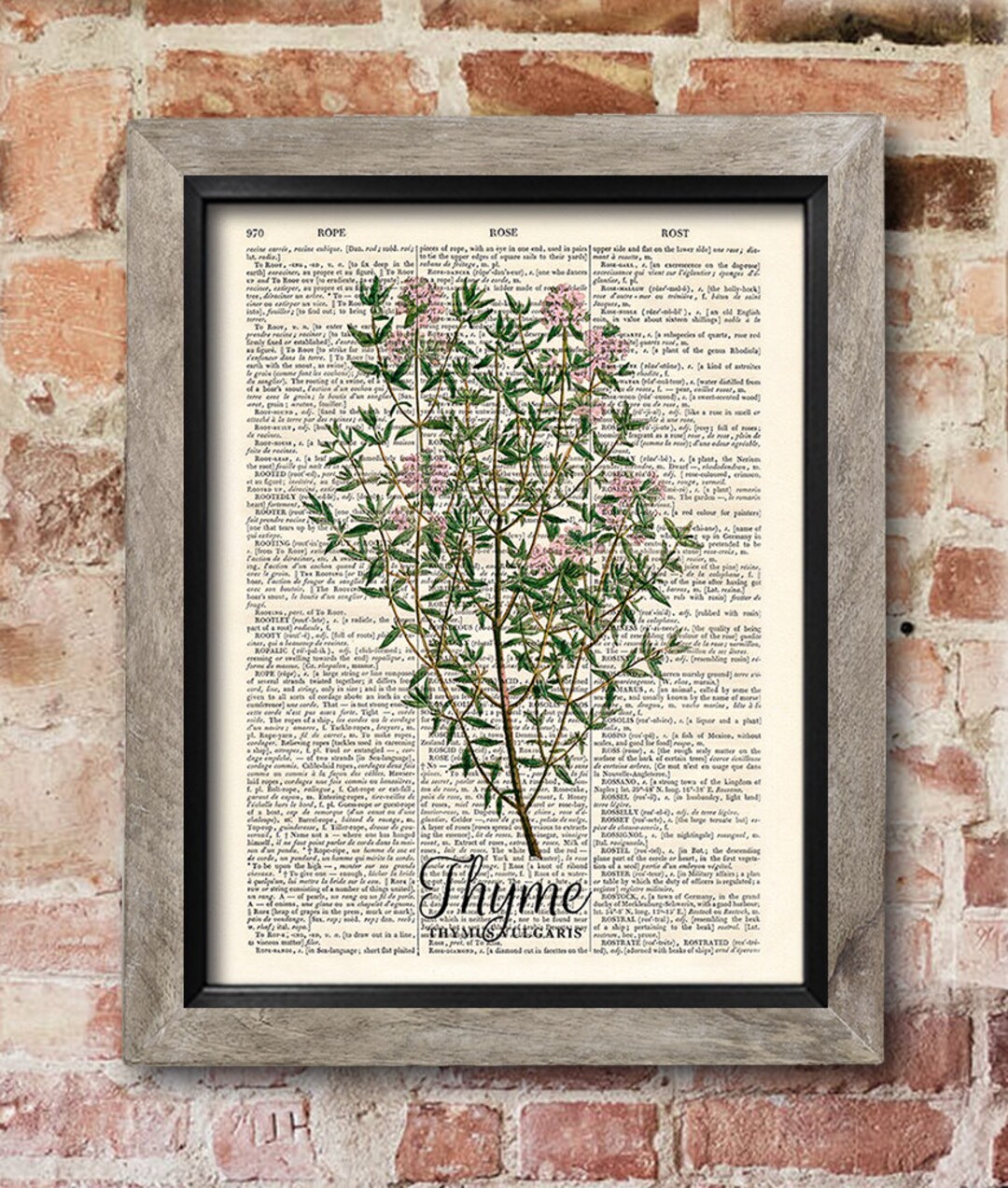 Kitchen Herb Print, Thyme Print, Dictionary Art Print, Old Book Pages