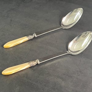 May include: Two antique serving spoons. Each spoon features a polished silver bowl and a handle with a cream-colored, pearlescent grip. The handles are connected to the spoon bowls with a decorative silver collar.