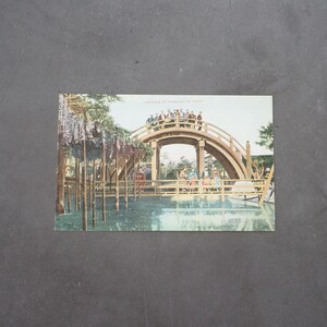 Postkarte Carte Postale Th. E. L. Serie Visteria At Kameido In Tokio postcard