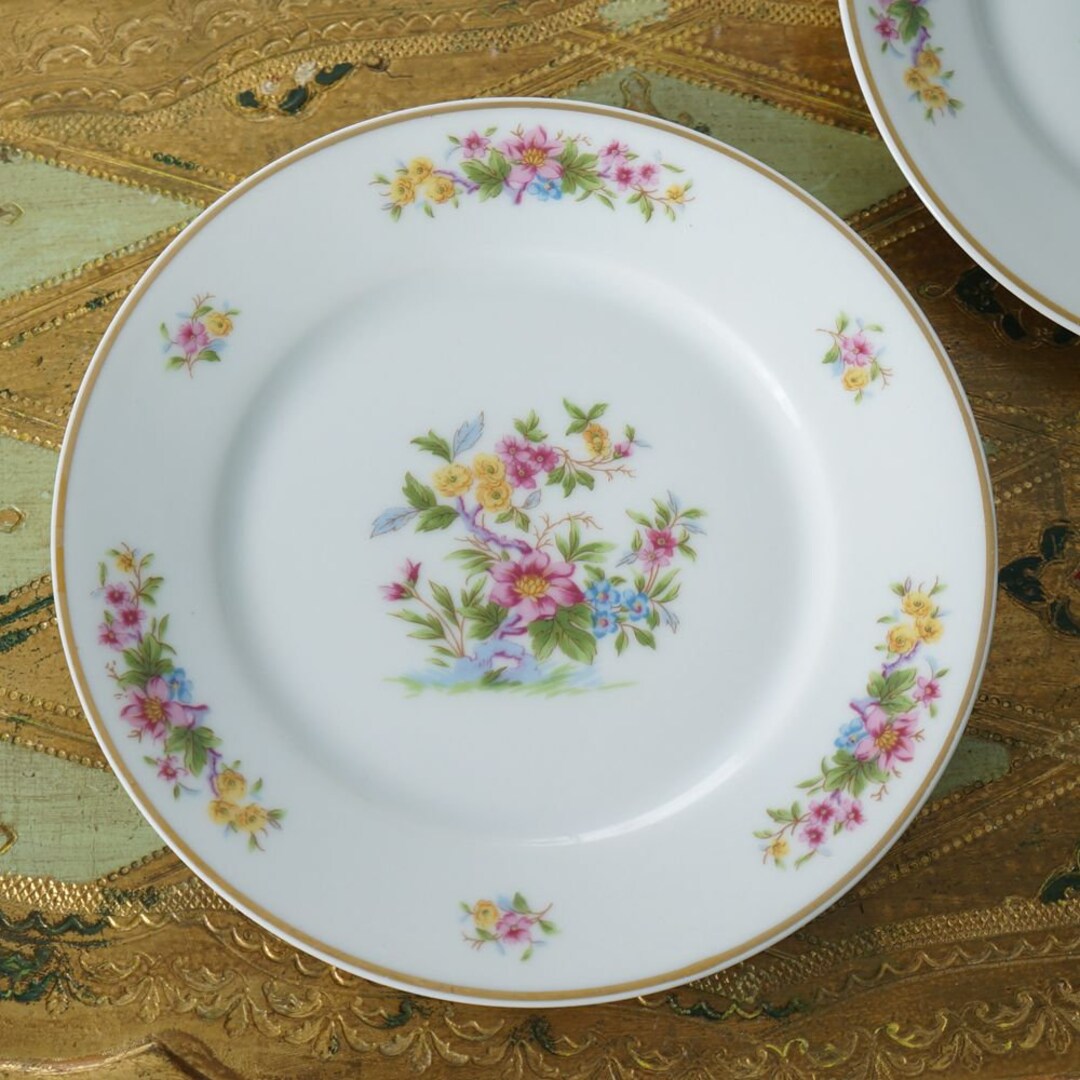 Vintage CH Field Haviland Limoges Garden Floral Flowers 6 Etsy