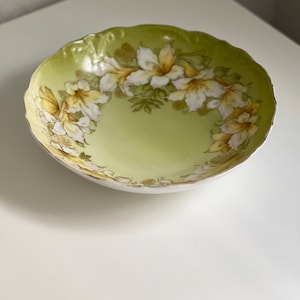 Vintage P.T. Germany Hand Painted Lily Plate Bowl Königlich privilegierte Porzellanfabrik Tettau
