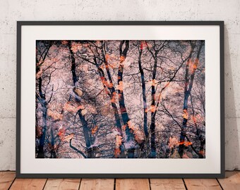 May include: A framed photograph of a forest scene with trees and branches in shades of brown, orange, and pink. The image has a blurred, dreamy effect.