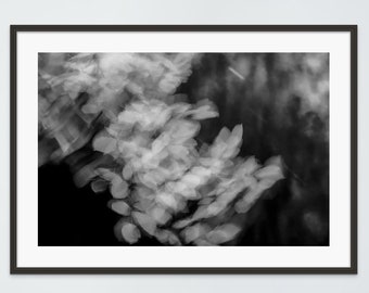 Monochrome Blätter Fine Art Photo: Abstrakter schwarzweißer Naturdruck