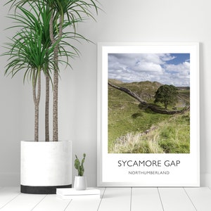 Sycamore Gap Print / Hadrians Wall Print / Northumberland  /  Travel Poster / Travel Gift