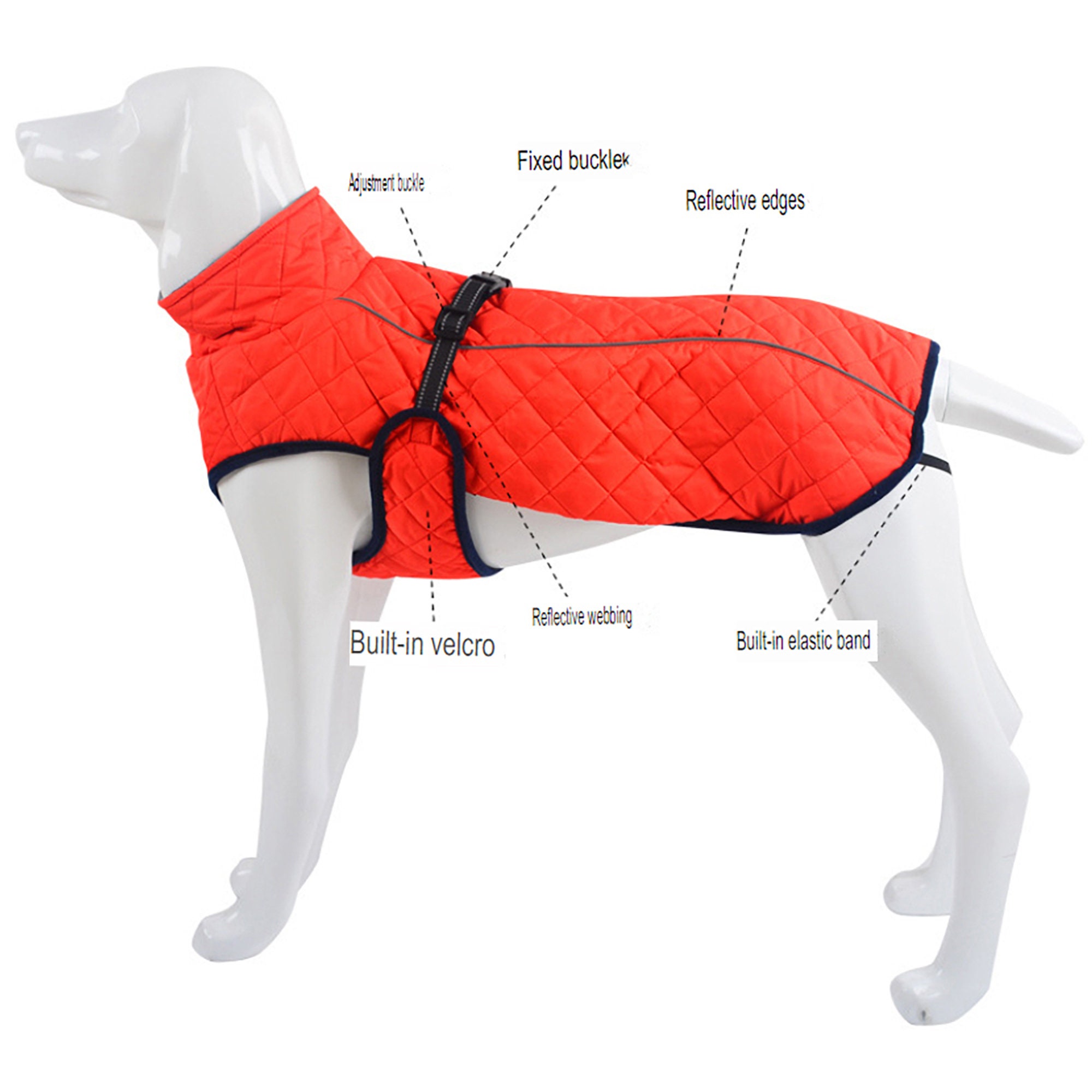 Designer Dog Coats Beside Look Also Provides Protection to Dogs by