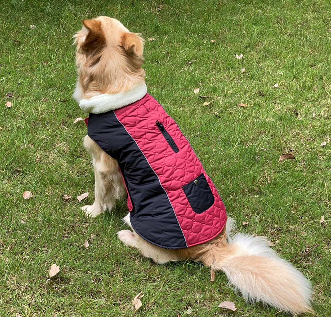 Waterproof Universal Dog Coat, Warm Cotton Puppy Jacket With Pocket and