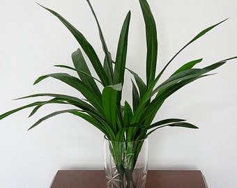 Purple Leaf 100cm Artificial Cymbidium Orchid Plant-Extra Large Black Plastic Pot Design UK Purple Leaf 100cm Artificial Cymbidium Orchid Plant-Extra Large Black Plastic Pot Design UK