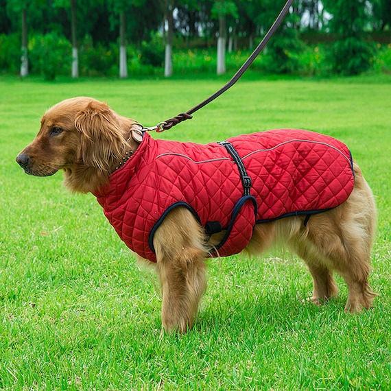 de grande a prueba de viento chaqueta de cachorro - Etsy